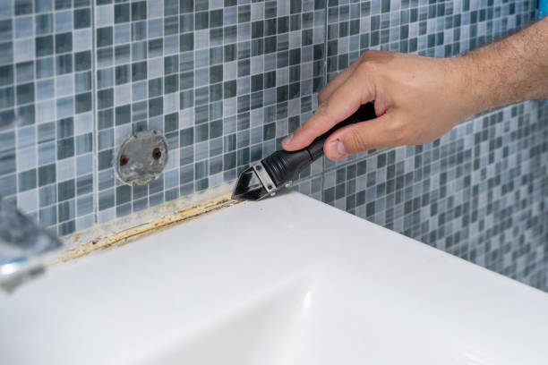 Best Post-Flood Mold Remediation in Tipton, MO